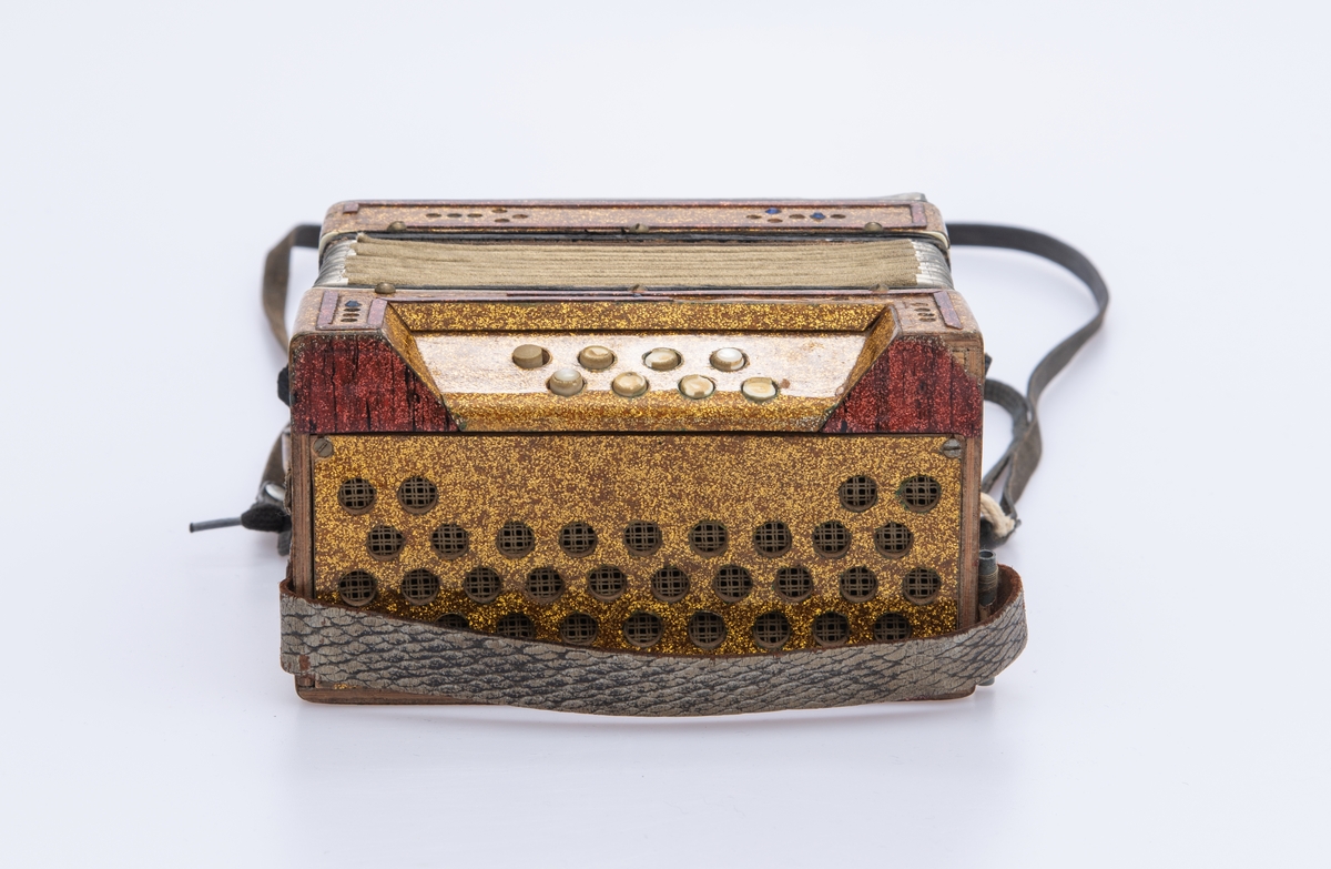 Gullspraglete overflate, med innsatte pyntejuveler. De fleste mangler. Blankt metallbeslag over knappene på høyre side foran. Lærreimer.