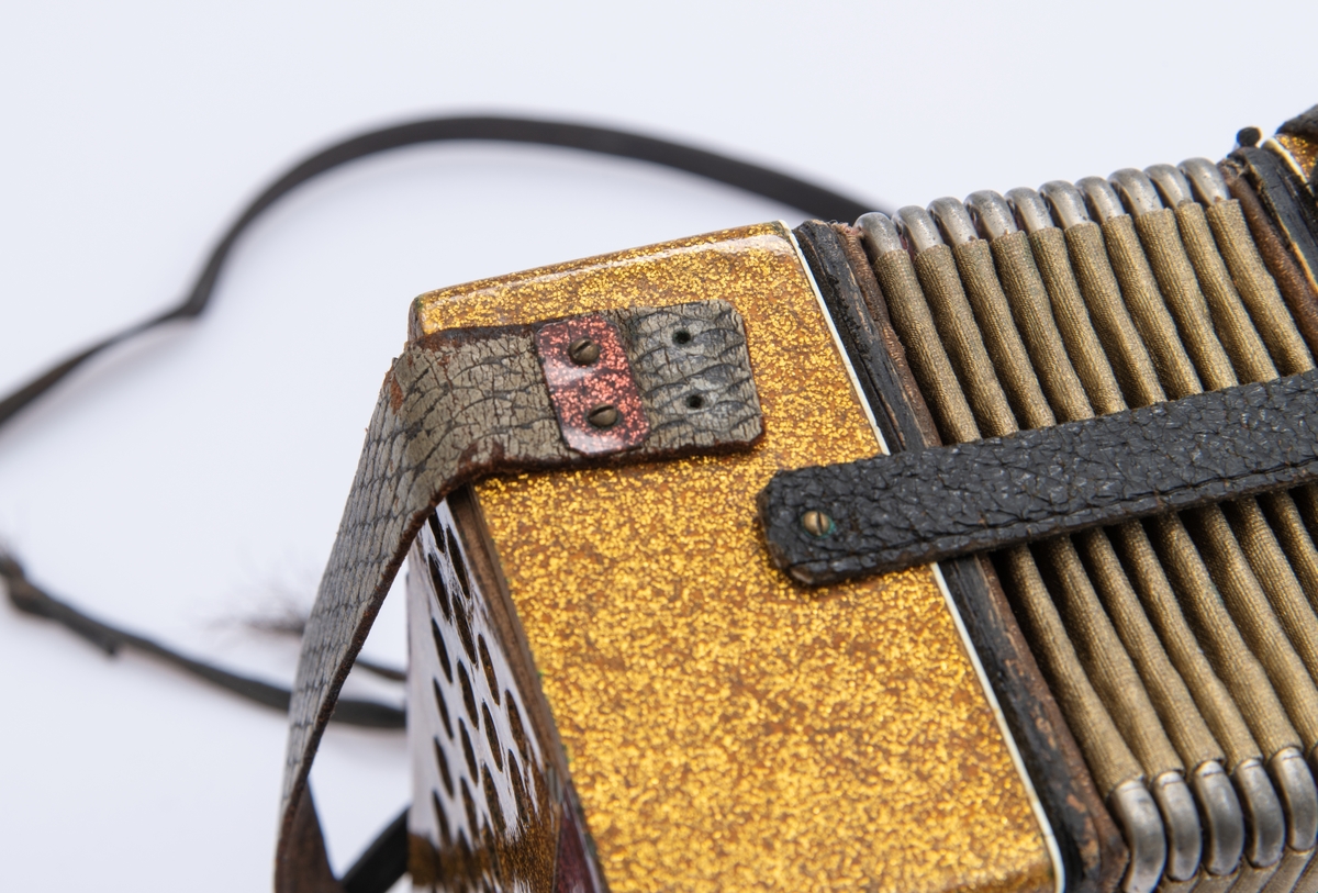 Gullspraglete overflate, med innsatte pyntejuveler. De fleste mangler. Blankt metallbeslag over knappene på høyre side foran. Lærreimer.