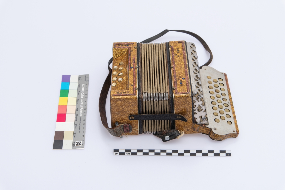 Gullspraglete overflate, med innsatte pyntejuveler. De fleste mangler. Blankt metallbeslag over knappene på høyre side foran. Lærreimer.