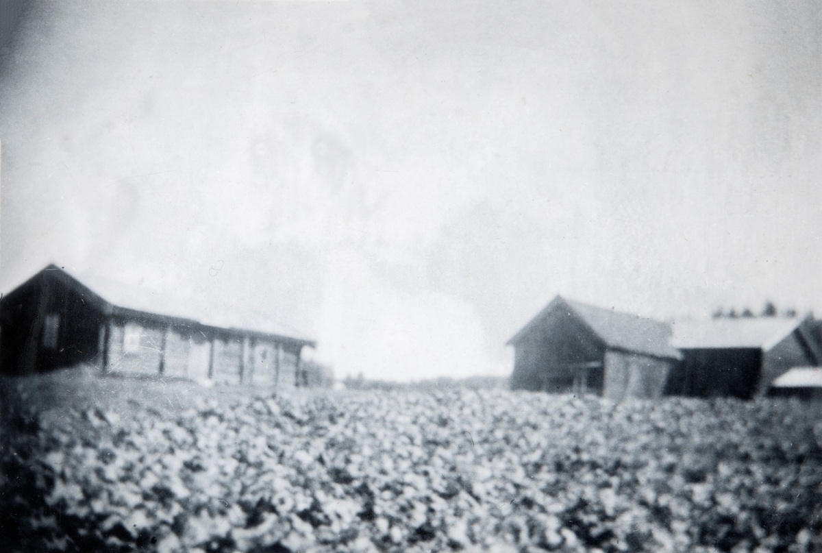 Bruket Støre i 1946. Løten. Foto: Privat eie