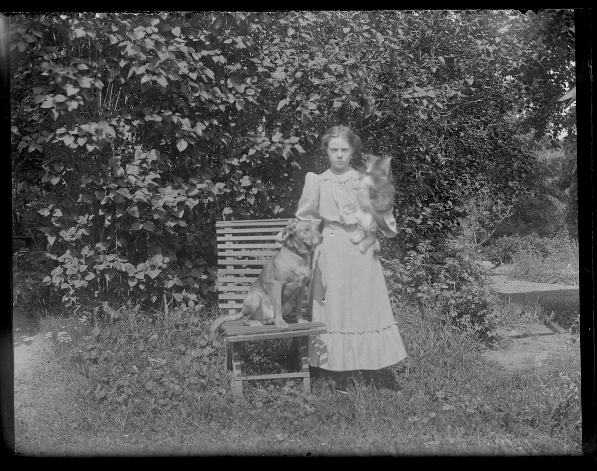 Porträtt, flicka i trädgården, med en hund och en katt.