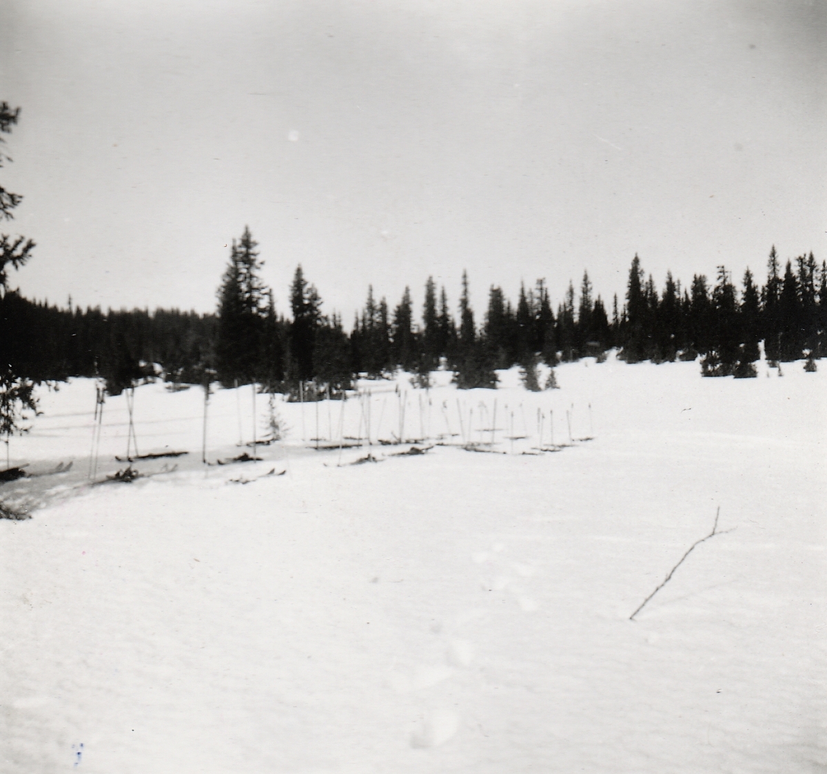 HS-trening i Reinsjødalen 1944. Skiene hviler mens instruksjon pågår inne i skogen.