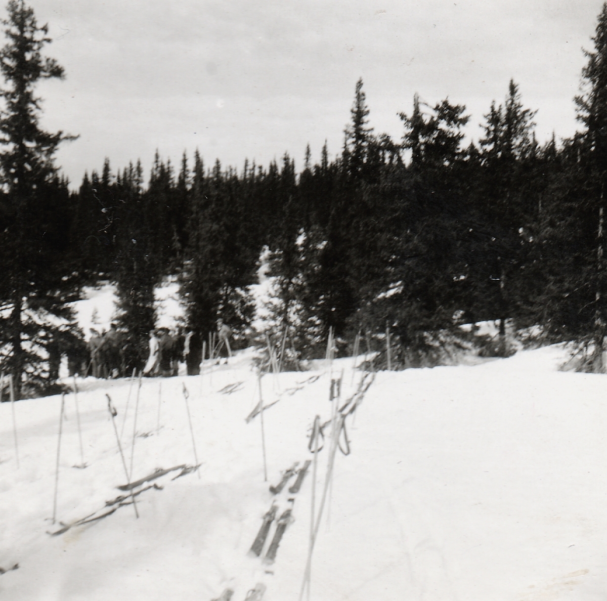 HS-kurs på Nysetra i Reinsjødalen 1944.