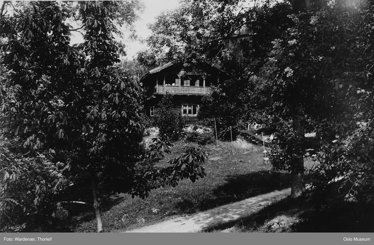 skog, hytte, serveringssted