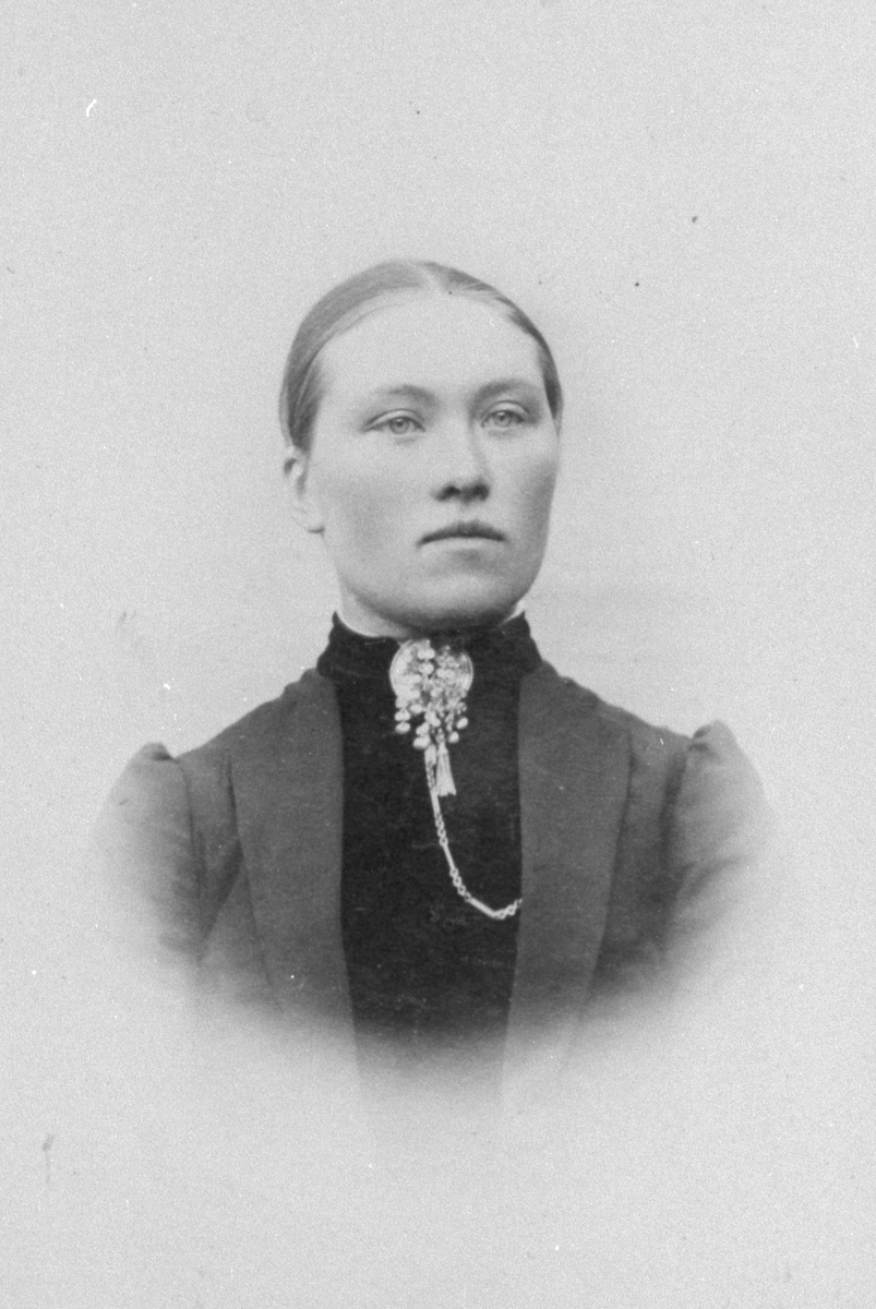 Anne O. Haugen