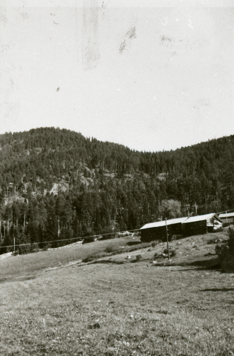 Gamle uthuset på Tveitmoen