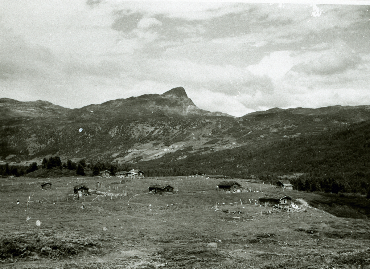 Stølane i Kjøsaraudalen på 1950-talet.