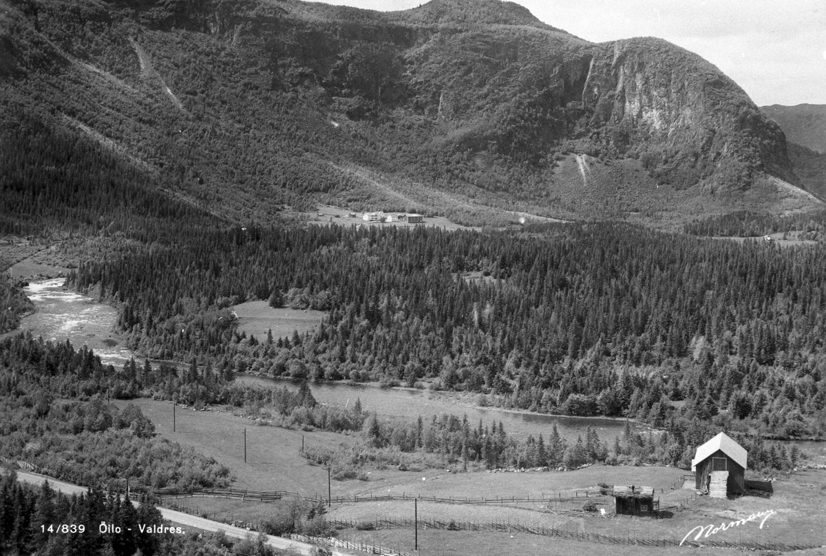 Frå Vangsnesberget mot Øylo. Børhus i framgrunnen