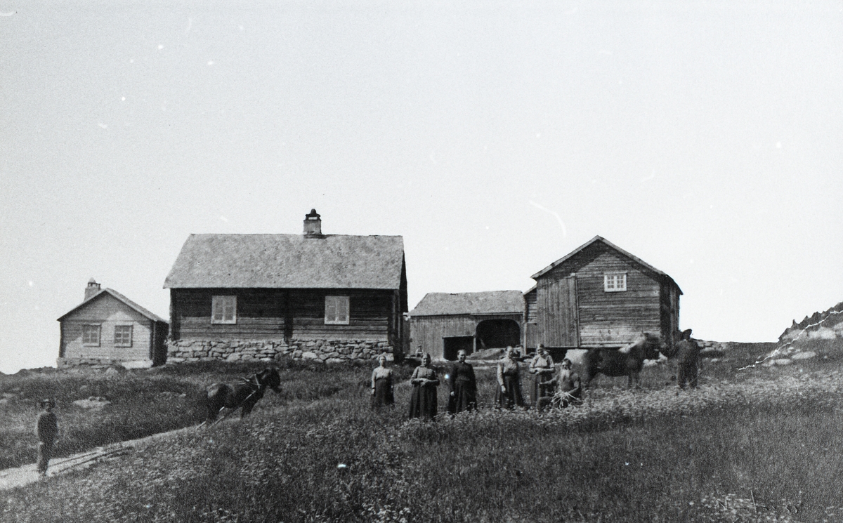 Ute i Øvre Kjøs. Mannen heilt til venstre er Øystein T. Kjøs f. 1863 og mannen som sit bak hesten og lagar vidjespenning er Torstein Ø. Kjøs f. 1841