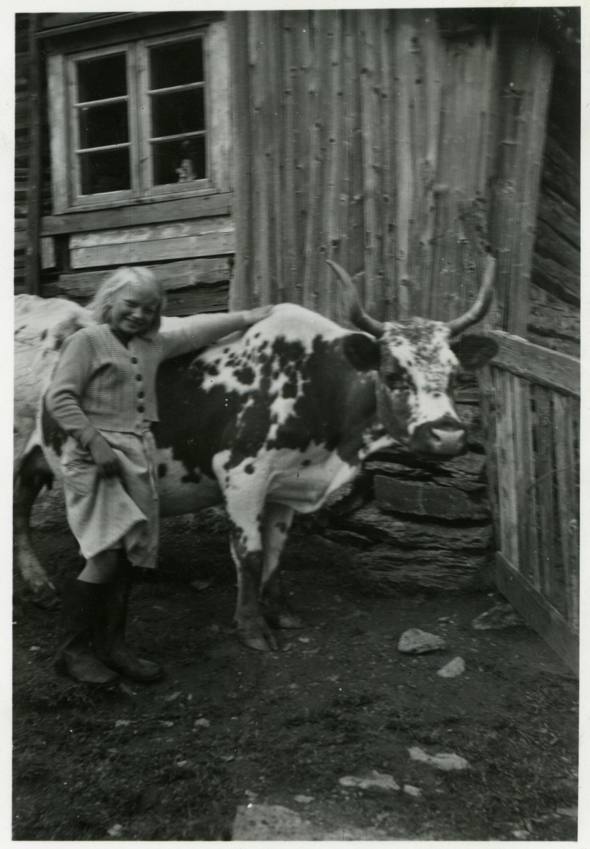 Inga Steile og telemarkskyra Gullros ved det gamle selet på Steindestølen på Rødalen