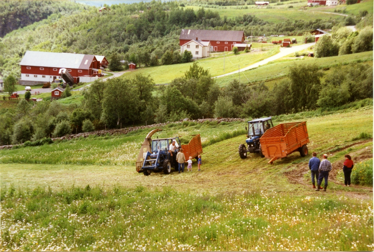 Dagny Britt hadde besøk av ei venninne frå Gjøvik og det var spennande for ungane hennes å få med seg litt skikkeleg gardsarbeid. Ved traktoren: Johannes Havro, Dagny Britt Frøyen som har med seg ungane Vanja Kristine Almåsstø og Kristoffer Baklien. Til høgre i bildet står frå venstre: Arne B. Havro, Kjell Anders Haugen og Mona Almåsstø