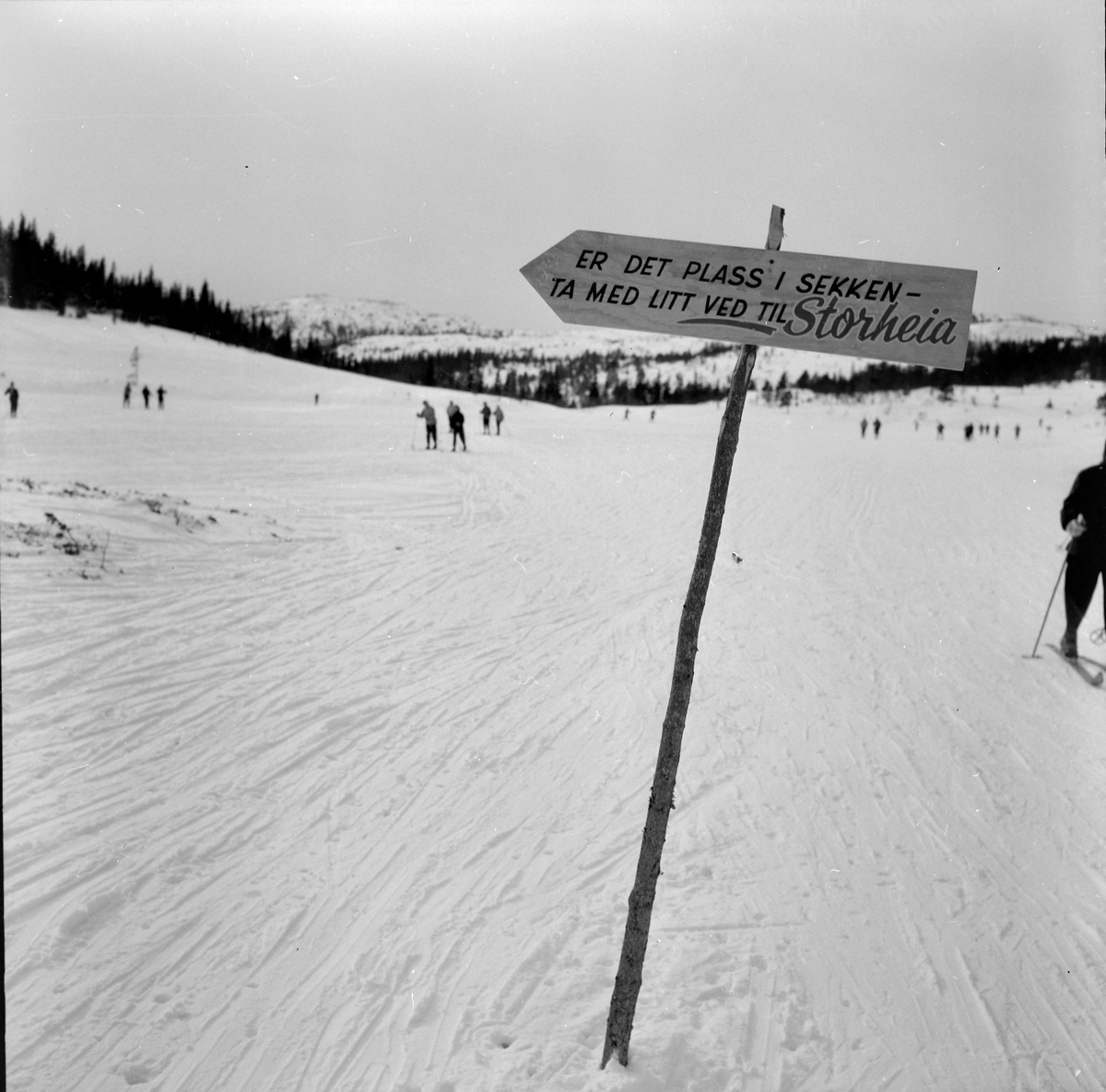 Skigåere i Bymarka