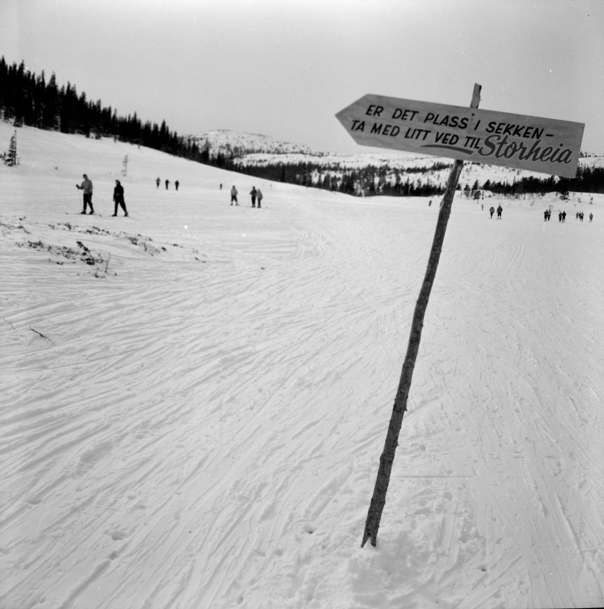 Skigåere i Bymarka