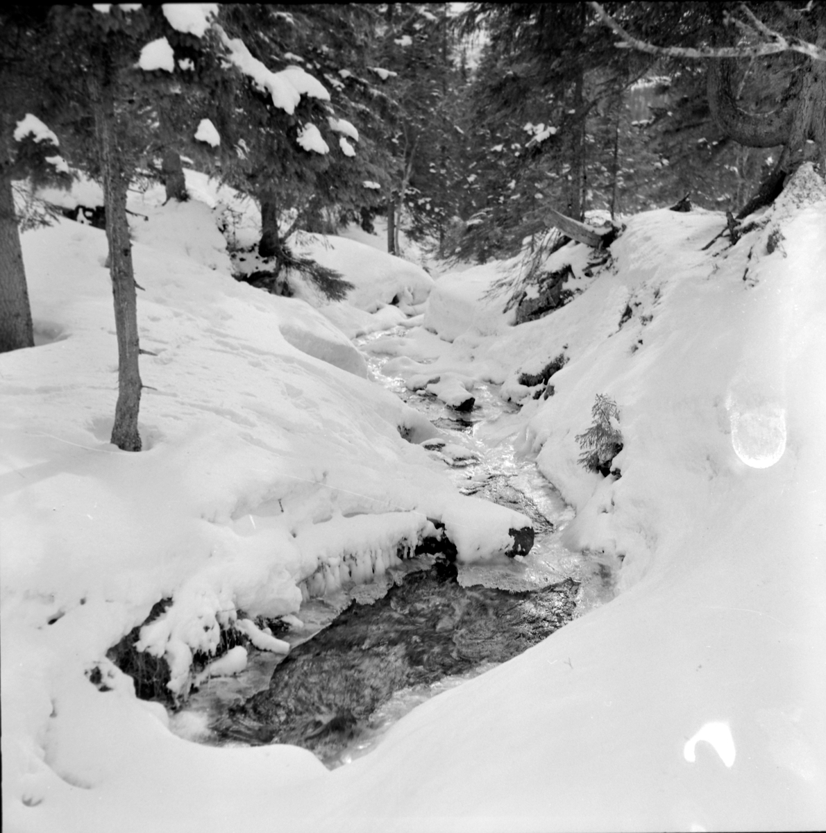Skigåere i Bymarka