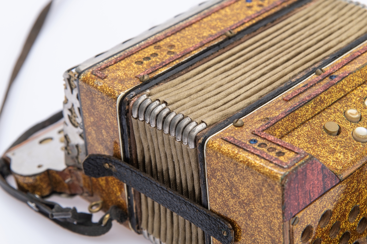 Gullspraglete overflate, med innsatte pyntejuveler. De fleste mangler. Blankt metallbeslag over knappene på høyre side foran. Lærreimer.