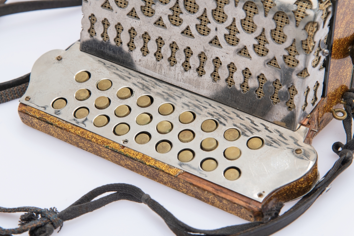 Gullspraglete overflate, med innsatte pyntejuveler. De fleste mangler. Blankt metallbeslag over knappene på høyre side foran. Lærreimer.