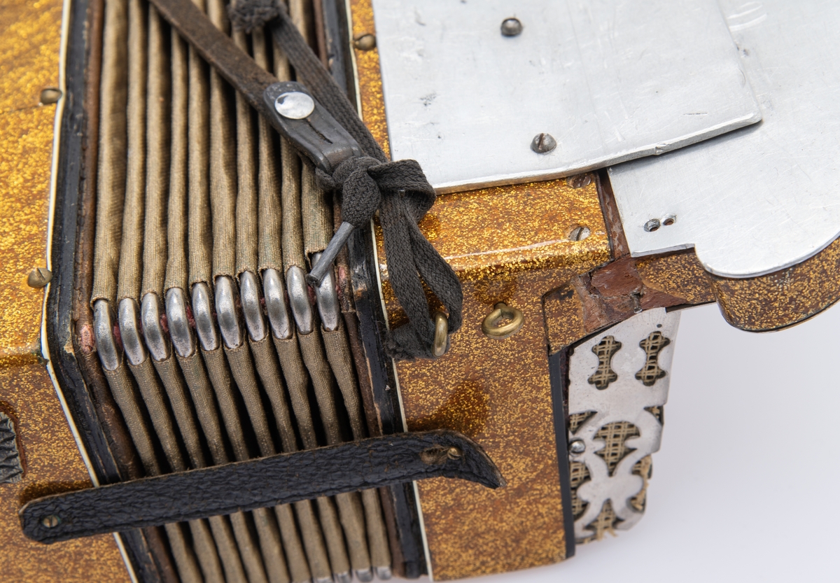 Gullspraglete overflate, med innsatte pyntejuveler. De fleste mangler. Blankt metallbeslag over knappene på høyre side foran. Lærreimer.