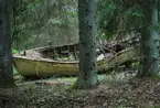 Förfallet vrak av baltisk flyktbåt i skogen på Järflotta. År 1943 användes båten av en grupp på fem för att fly från det Nargö och det ockuperade Estland till Sverige.