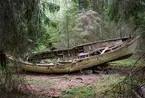 Förfallet vrak av baltisk flyktbåt i skogen på Järflotta. År 1943 användes båten av en grupp på fem för att fly från det Nargö och det ockuperade Estland till Sverige.