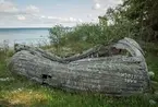 Båtvrak på stranden i Vikstadar som kan ha varit en livbåt som flutit i land 1944. I lokal hörsägen har båten antagits vara en baltisk flyktbåt.