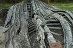 Båtvrak på stranden i Vikstadar som kan ha varit en livbåt som flutit i land 1944. I lokal hörsägen har båten antagits vara en baltisk flyktbåt.