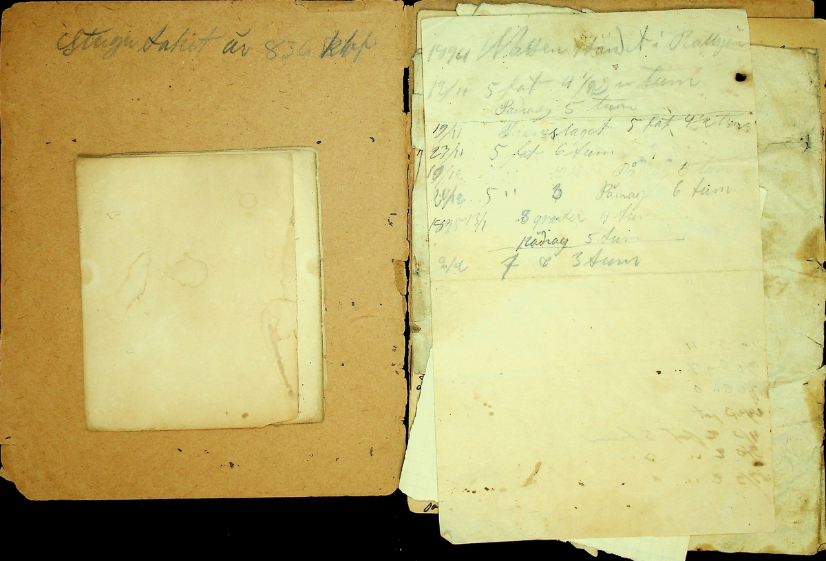 Dagbok skriven av Rällsjö Anders Jansson på Rällsjögården, Bjursås socken under åren 1896-1913. 
Innehåller bl.a. anteckningar om jordbruksarbete, väderlek och brand i Bertilsbo. Innehåller även skrivelse rörande Gopa Tunnelag år 1794 (1792 infördes Gopa Tunnelag med Bjursås)