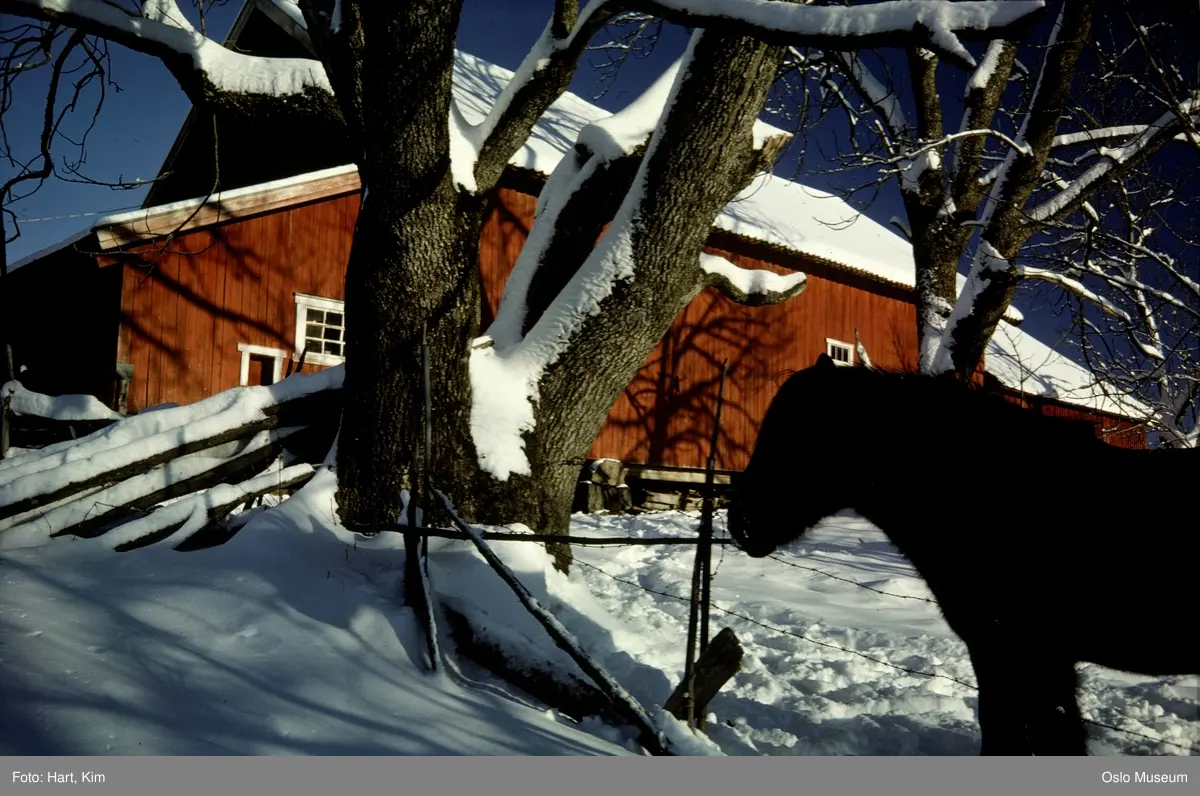 Øvre Lyse gård, driftsbygning, hest, snø