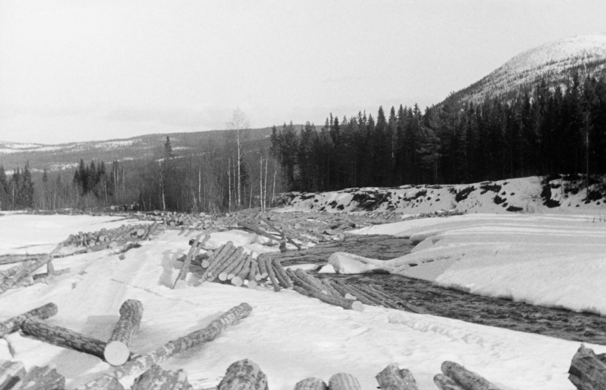 Islagt tømmer ved Atna våren 1954.  Det barkete fløtingsvirket er opplagt i floer på underliggende tverrstokker på isen langsetter vassdraget.  Da dette fotografiet ble tatt var isen over djupålen i elva gått, mens isbremmen langs elvefarets ytterkanter hadde sprukket fra landfestet og tilsynelatende var i ferd med å gli mot djupålen.  Med isløsinga var en del av fløtingstømmeret i ferd med å trille på elva.  Fotografiet er tatt fra ei åpen, snødekt flate med en god del tømmer.  Langs elvebredden vokser det barskog.  I bakgrunnen til høyre et fjell med barskog rundt foten og med ei snau, snødekt flate på toppen.  Opptaksstedet later til å ha vært det samme som på SJF. 1990-00554. 