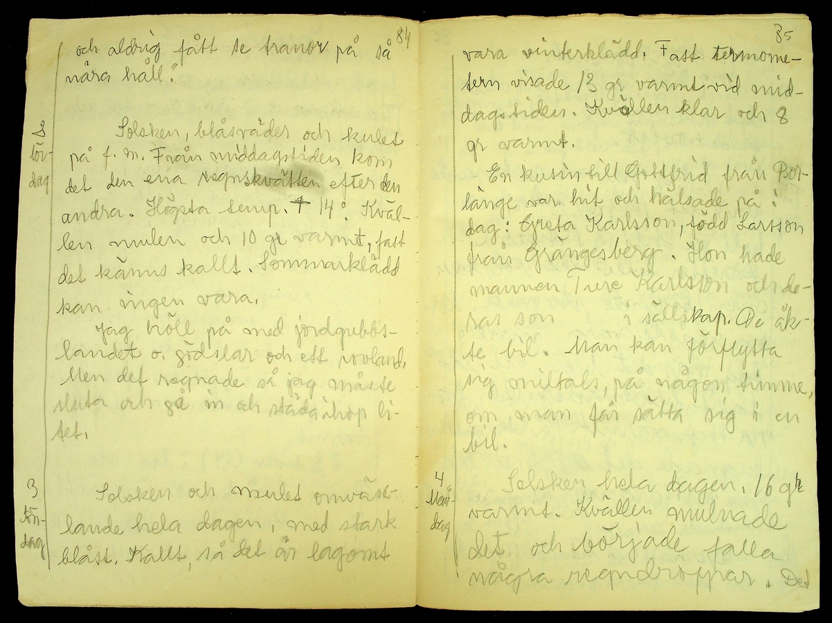 Dagbok skriven år 1956 av Rällsjö Brita på Rällsjögården i Bjursås socken. 
Innehåller bl.a. anteckningar om väderlek, fågelobservationer och diverse händelser (järnvägsolyckor m.m)