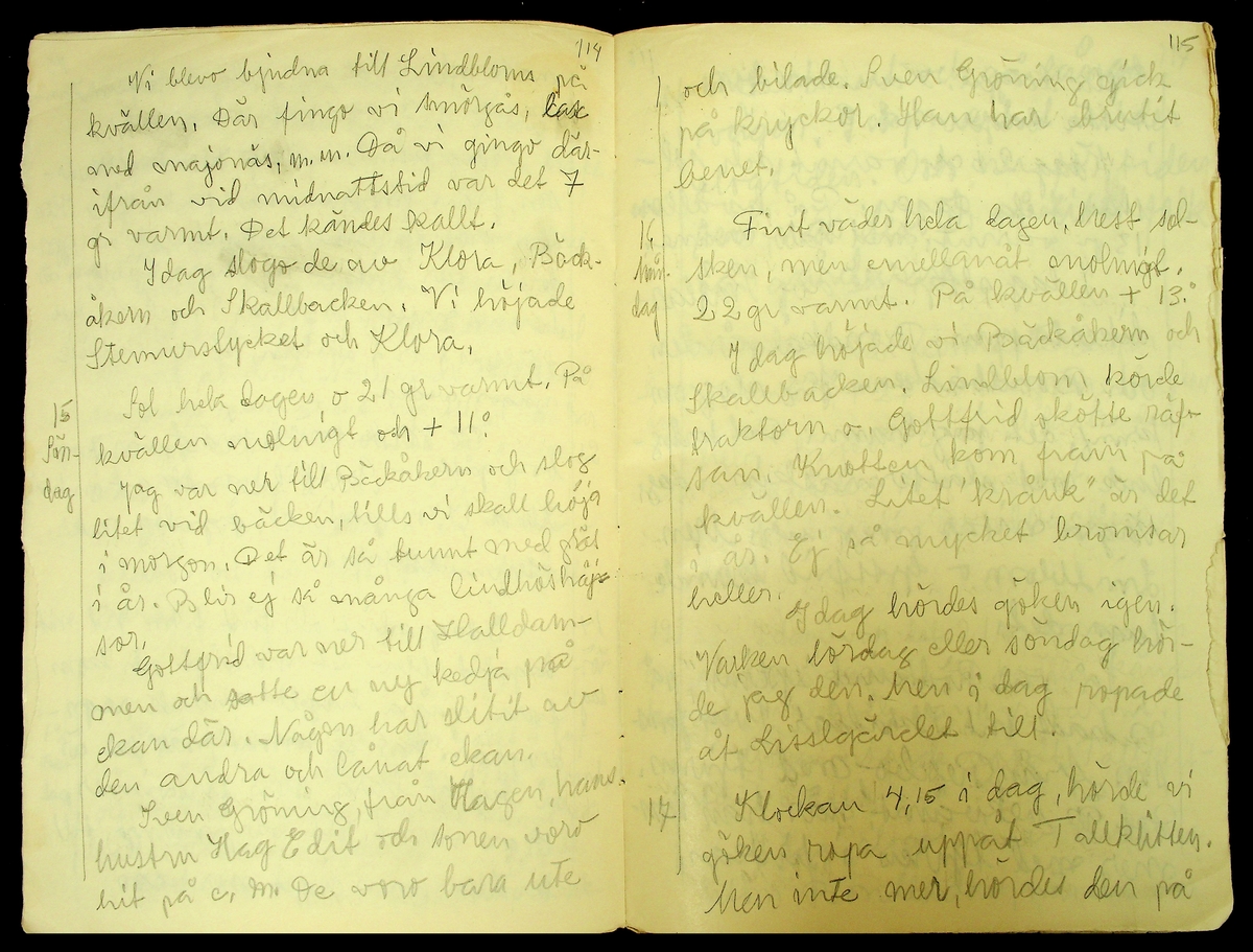 Dagbok skriven år 1956 av Rällsjö Brita på Rällsjögården i Bjursås socken. 
Innehåller bl.a. anteckningar om väderlek, fågelobservationer och diverse händelser (järnvägsolyckor m.m)