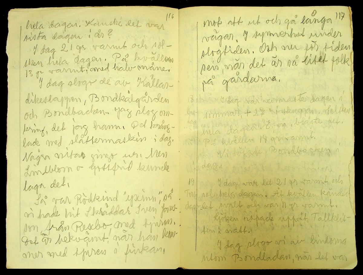 Dagbok skriven år 1956 av Rällsjö Brita på Rällsjögården i Bjursås socken. 
Innehåller bl.a. anteckningar om väderlek, fågelobservationer och diverse händelser (järnvägsolyckor m.m)
