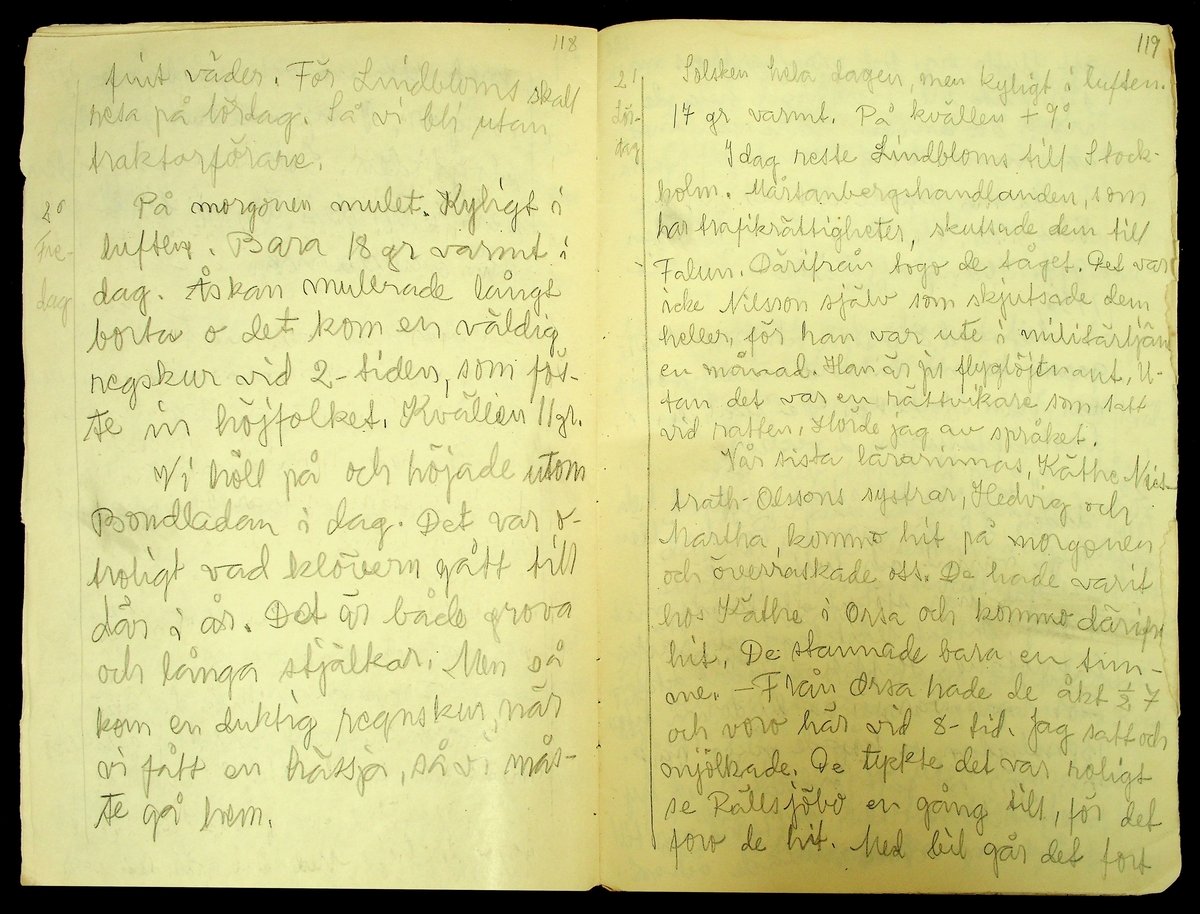 Dagbok skriven år 1956 av Rällsjö Brita på Rällsjögården i Bjursås socken. 
Innehåller bl.a. anteckningar om väderlek, fågelobservationer och diverse händelser (järnvägsolyckor m.m)