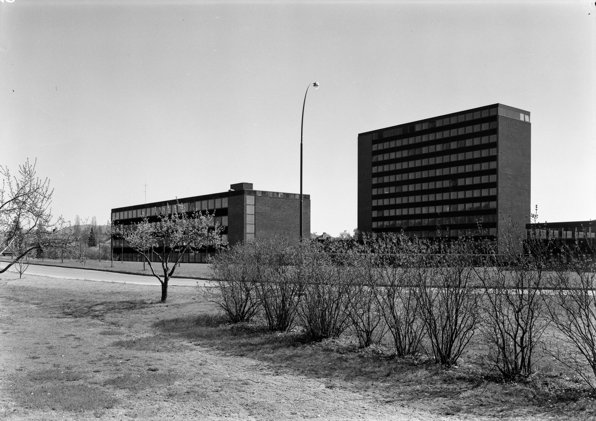 Universitetet, ark. Leif Moen mai - 64 (se også Universitetsbyen 4635) div fargedias