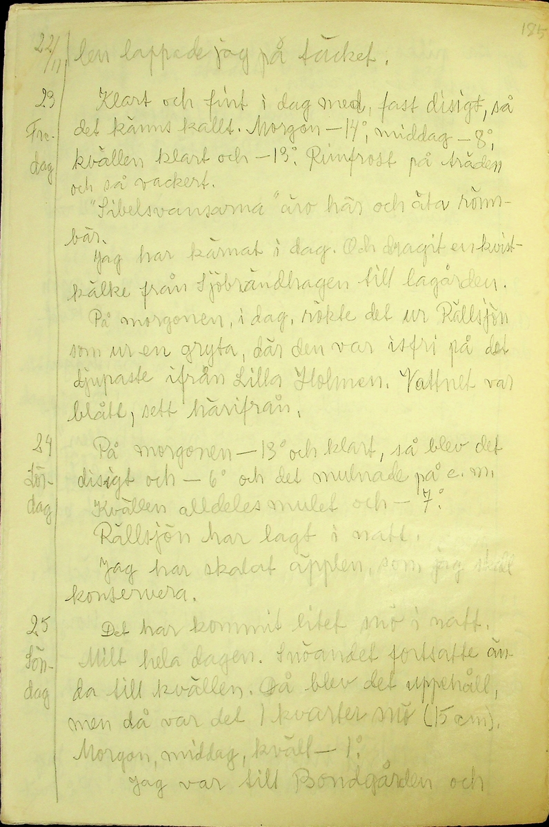 Dagbok skriven år 1956 av Rällsjö Brita på Rällsjögården i Bjursås socken. 
Innehåller bl.a. anteckningar om väderlek, fågelobservationer och diverse händelser (järnvägsolyckor m.m)