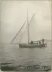 Vänersborg. Segelbåt som lottades ut av Vänersborgs segelsällskap 1909