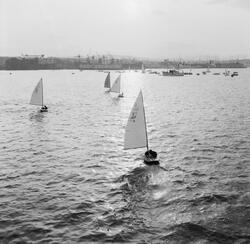Båtsportens dag i Oslo. 9. Juni 1952.