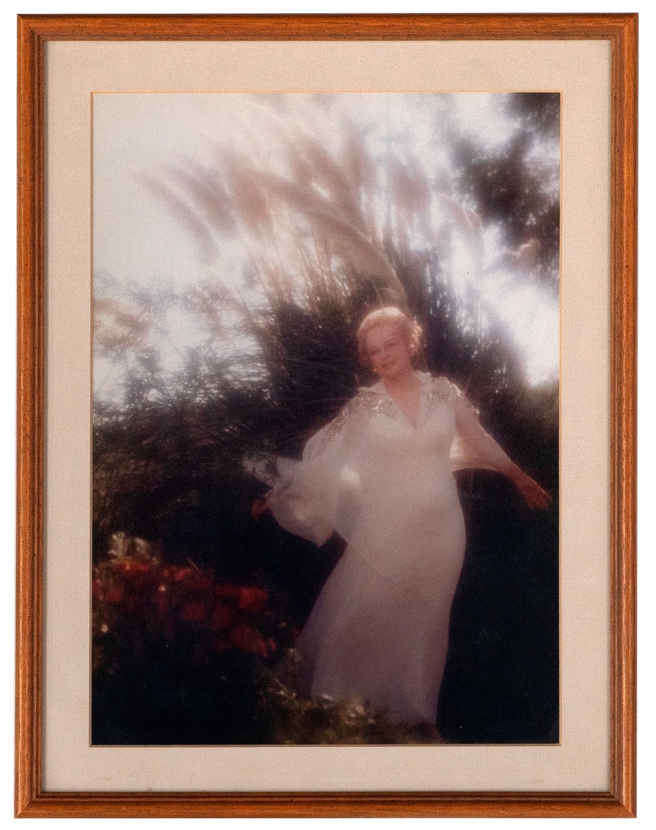 Portrett av en eldre kvinne iført en hvit aftenkjole og poncho som er rik dekorert med gullperler, blanke paljetter og blanke steiner. Kvinnen står i en park eller en hage med røde blomster til venstre og pampasgress i bakgrunnen. Den avbildede kvinnen er skuespilleren Olivia de Havilland. Ifølge museets protokoll brukte hun kjolen første gang i 1973, under åpningen av Warner Brothers minneforestilling til Robin Hood fra 1938.