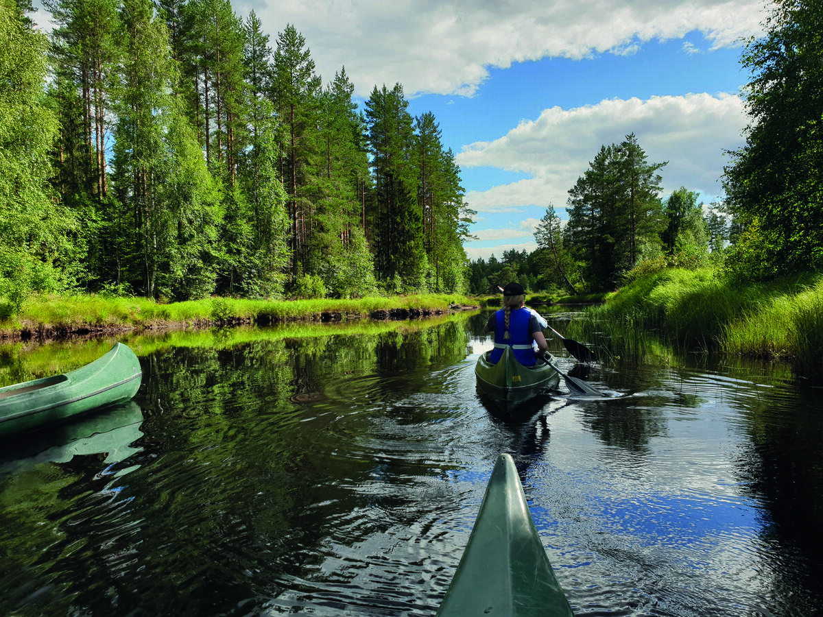 Kanopadling på Kynnavassdraget. Bildet viser flere kanoer på vannet.
