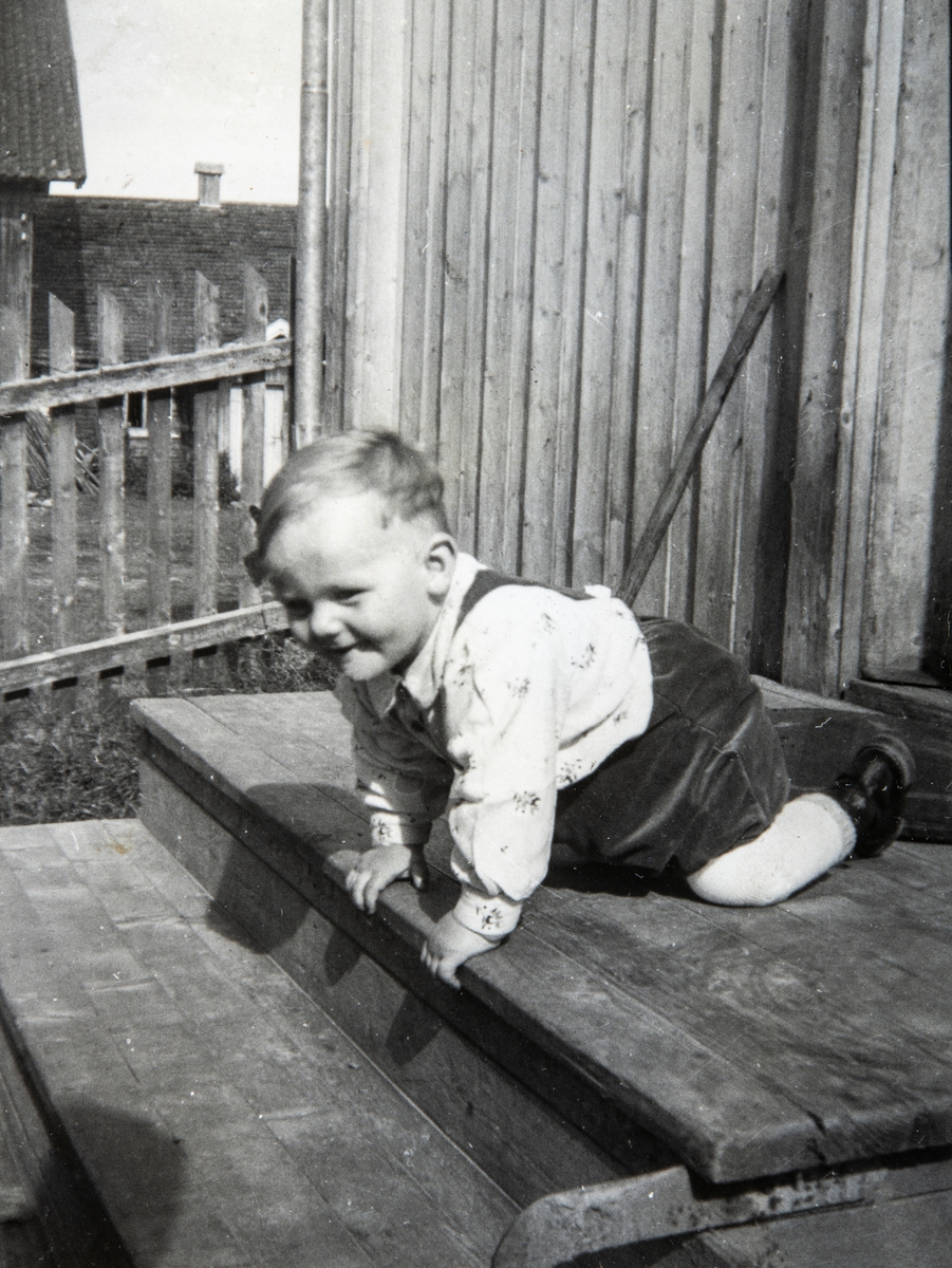 Den unge Sigurd Dæhli prøver å krabbe ned trappa hjemme. 
Sigurd Dæhli (født 6. mai 1953) er en norsk orienteringsløper og tidligere landslagsløper. Han ble verdensmester i stafett i 1981. Han løp ankeretappen for det norske laget som gikk til topps i Thun i Sveits. Laget besto ellers av Øyvin Thon, Harald Thon og Tore Sagvolden. Under VM i orientering 1983 tok han bronse individuelt. Han ble nordisk mester individuelt i 1977 og har tatt ni norske mesterskap, hvorav de fleste er tatt på stafett.
Dæhli driver også med skiorientering og ble verdensmester i stafett 1986.