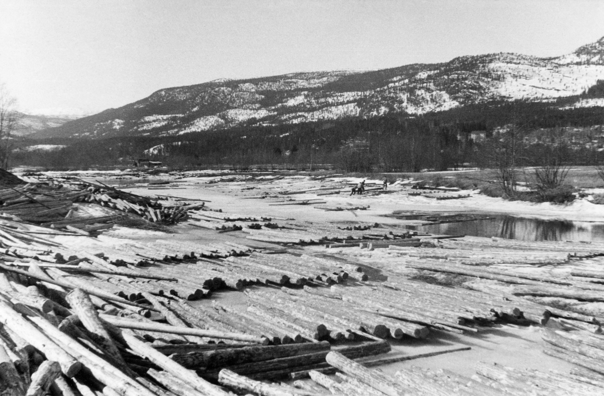 Fløtingstømmer som er utlagt i floer på Glomma-isen ved Gunhildstua i Stor-Elvdal i løpet av vinteren 1954.  Fotografiet er tatt påfølgende vår, og en ser overflatevann mellom tømmerfloene.  I god avstand fra fotografen, men om lag midt på bildeflata, arbeider en del karer med å trekke tømmeret opp mot elvebredden igjen, antakelig for å forebygge at stokkene fryser fast, blir vasstrukne og synker i løpet av den forestående fløtingssesongen.  Langsmed elva vokste det krattskog.  I bakgrunnen snøkledde åser med til dels glissen barskog. 