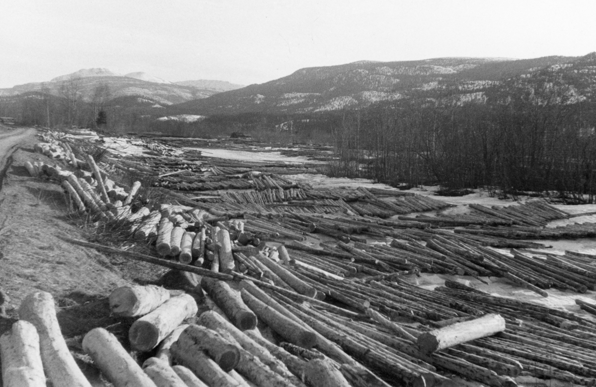 Fløtingstømmer som er utlagt i floer på Glomma-isen ved Gunhildstua i Stor-Elvdal i løpet av vinteren 1954.  Fotografiet er tatt påfølgende vår, og en ser overflatevann mellom tømmerfloene.  Langsmed elva vokste det krattskog.  I bakgrunnen snøkledde åser med til dels glissen barskog.  Helt til venstre i bildet skimtes vegen som virket må ha vært framkjørt på tidligere på vinteren. 