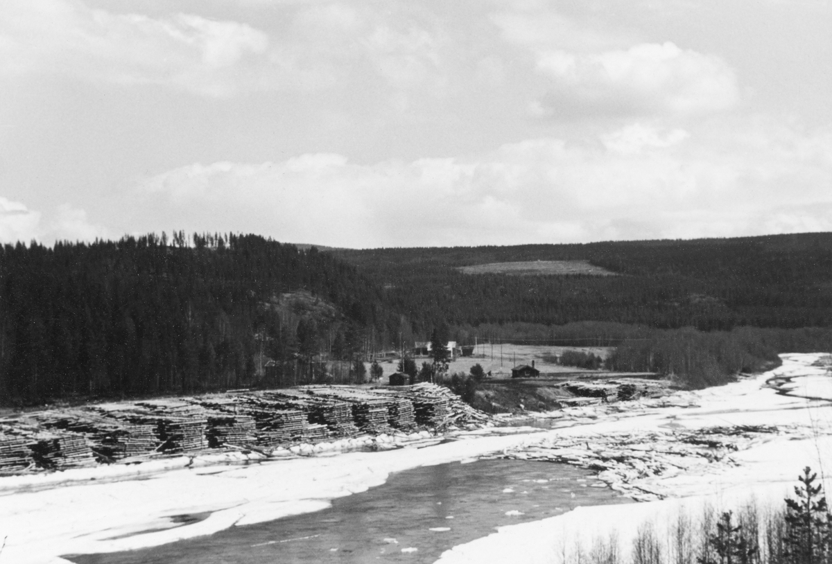 Den såkalte Halvorstuvelta i Stor-Elvdal, fotografert våren 1958. Denne velteplassen ble opparbeidet av Glomma fellesfløtingsforening i første halvdel av 1950-åra, etter at fløtinga i Tresa var avviklet. Tanken var at tømmer fra denne sideelvas nedslagsfelt skulle transporteres på nybygde skogsbilveger til denne velteplassen. Tømmeret ble levert i høye strøvelter, som skulle gi stokkene en lett tørk før det ble slått på elva når våren kom. Store tømmerleveranser fra en velteplass, som denne, muliggjorde maskinelt utislag. På Halvorstuvelta ble det brukt bulldoser for å få tømmeret ut i vassdraget fra 1956. Å skyve tømmeret ut i elveløpet med slike maskiner viste seg langt mer kostnadseffektivt enn å rulle det ut i elva manuelt. Dette fotografiet er tatt tidlig på våren, mens det ennå lå is på elva, før fløtinga kunne starte.