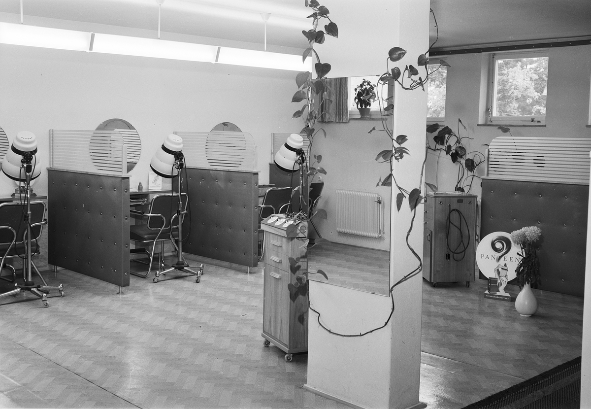 Hägglunds Damfrisering, Stockholm 1957