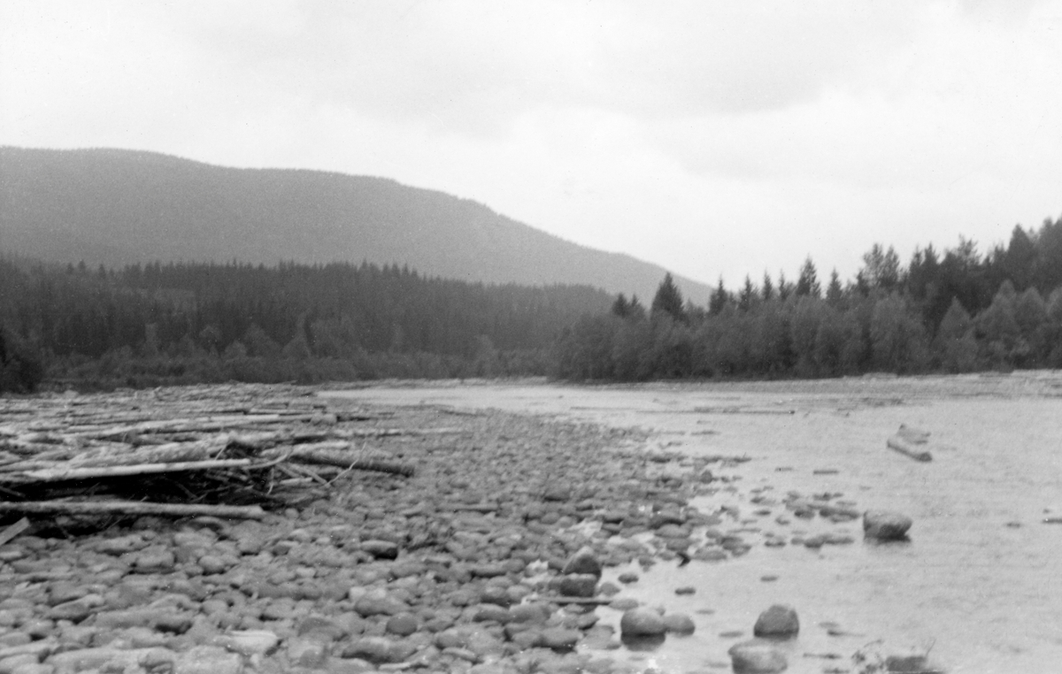 Elvelandskap langs Glomma ved Prestengøra i Stor-Elvdal i 1954.  Fotografiet er tatt fra ei steinør på den ene elvebredden langsmed vassdraget.  På steinøra ligger det en del trevirke, både tømmerstokker og annen drivved.  Langs elva vokser det barskog med innslag av bjørk iden lysrike sonen mot Glomma.  Opptaket er dessverre en aning uskarpt. 