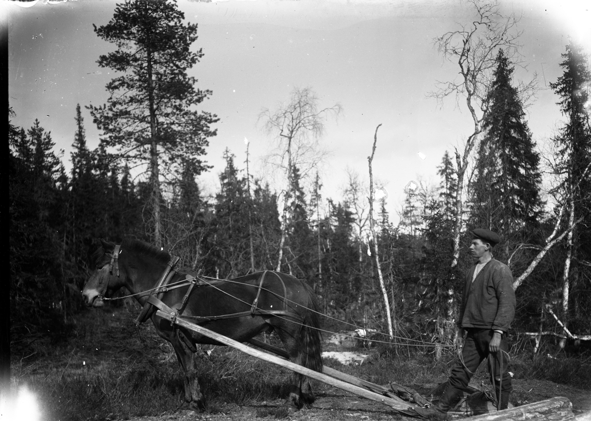 Portrett av mann med hest.

Fotosamling etter fotograf og skogsarbeider Ole Romsdalen (f. 23.02.1893).