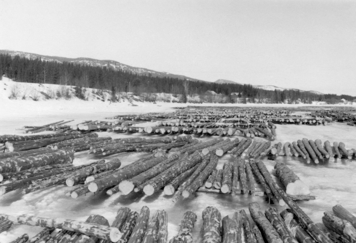 Tømmerfloer på Glomma-isen, antakelig et sted i Midt-Østerdalen i 1956.  Fotografiet viser hvordan det handbarkete virket ble lagt opp i lag med lengderetningen parallelt med strømretningen, men med underliggende tverrstokker som skulle forebygge at store tømmermengder fraus fast i isen.  Langs elva er det en snødekt elveskråning, og bakenfor den står barskogen tett. 