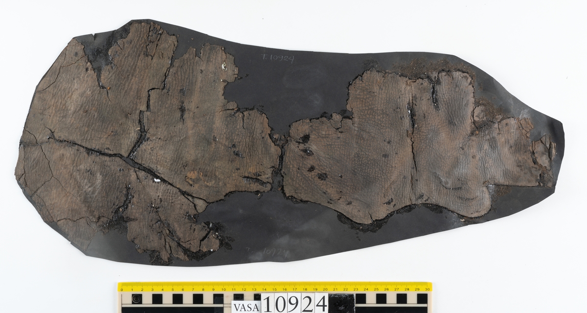 Delar och fragment av stövel.
Ett fragmentariskt stövelskaft. Skaftet är monterat på svart kartong av konserveringsenheten. På skaftets nedre del löper stygnshål. Lädret är mycket fragmentariskt och sprött.
Ett 100-tal större och mindre fragment. På några av fragmenten syns hål efter träpligg och stygn.
Lädret är sprött, tunt och fragmentariskt samt har rostliknande utfällningar.