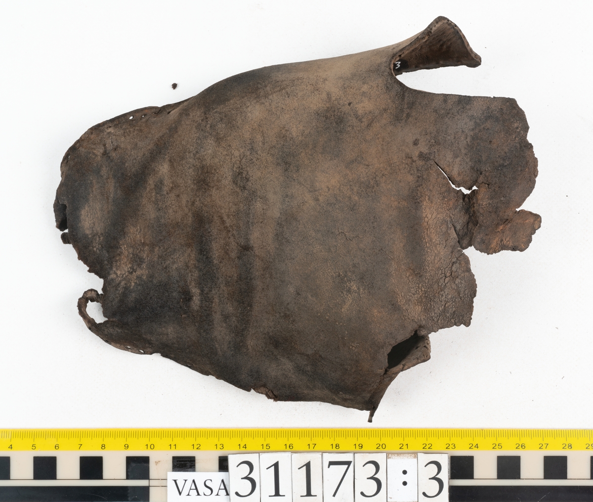 Dokumentation 1998:
Fem delar av överdelen till en slejfsko.
Ett ovanläder med bred och kantigt skuren plös, fyndnummer 31173. Längs med ovanlädrets ena sida och tvärs över tåpartiet löper stygnshål. Längs med ytterkanterna löper hål efter träpligg och stygn. Ovanlädrets främre parti och plös är något fragmentarsika. Lädret är kraftigt med fläckvisa, rostfärgade utfällningar.
En skuren läderremsa, fyndnummer 31173. Remsan har suttit fästad längs ovanlädrets ena sida. Längs med remsans ytterkanter löper hål efter stygn och träpligg.
Två stycken sidostycken med slejf. Sidostyckena har slutit om hälpartiet och fästats samman med en söm mitt bak på skon. Det vänsta sidostycket, fyndnummer 31173:1, är det bäst bevarade. I slejfänden finns ett urtag, troligtvis ett knapphål. Längs med ytterkanterna löper hål efter stygn. Längs den nedre kanten löper hål efter träpligg. Det högra sidostyckets nedre del samt slejfände är fragmentarisk. Lädret är kraftigt och relativt välbevarat.
En förstärkning, fyndnummer 31173:2. Troligtvis har lädret suttit fästat på ovanlädret och förstärkt tåpartiet. Lädret är kraftigt.

Dokumentation 2022:
Del av ovanläder. Framstycke till en sluten sko. Skapades på en rak läst och bars på vänster fot. Inga dekorationer. Fyndnummer 31173:1 är skons bakkappa och den har skador som liknar de från fyndnummer 09806. Fyndnummer 31173:3 är skons sidofoder. Ovanlädrets framstycke och bakkappan saknar vissa fragment och det finns tecken på förstärkningar. Ovanlädrets framstycke har haft förstärkningar på sidans insida och på tån, men de saknas idag. 
För mer information, se Länkade filer: Uppritning

Text in english:
These are a vamp and a quarter of a shoe, made of leather, made on a straight last and worn on the left foot, with no decorative features. 31173:1 represents the quarter and has suffered damage similar to 09805, 31173:3 represents the side lining. There are missing fragments from the vamp and the quarter and there are signs of reinforcements. The vamp had internal reinforcement (missing) only on its lateral side and at the toe.
For more information, go to Länkade filer: Uppritning