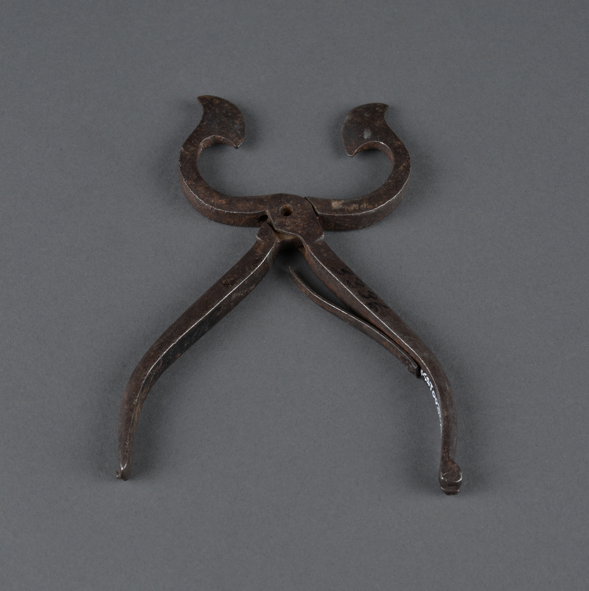 Sukkersaks for å klippe sukker i passende biter 
Hjerteformet blad. Rett skaft
Sukker ble solgt i topper opp til ca. 1920, og saksen ble brukt til å dele det opp.