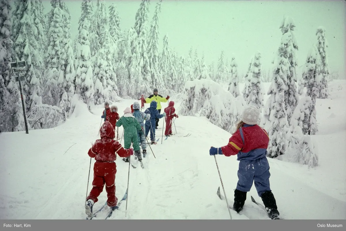 skog, snø, skiløype, barn, kvinne, instruktør, skiskole